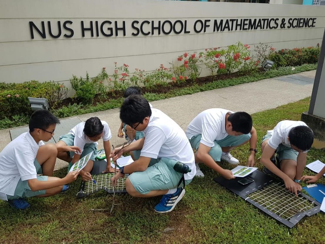 Experiential Inquiry: Ecological Sampling